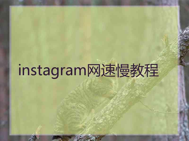 instagram网速慢教程