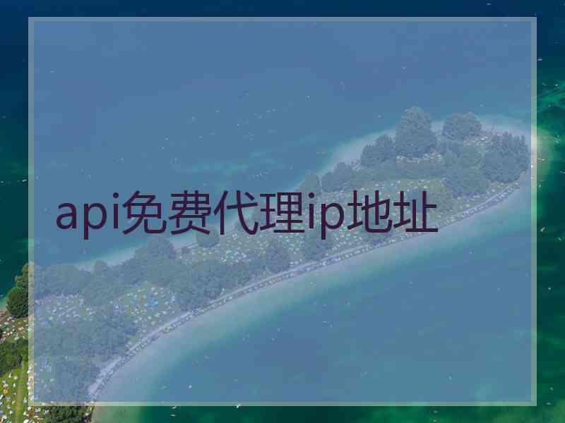 api免费代理ip地址