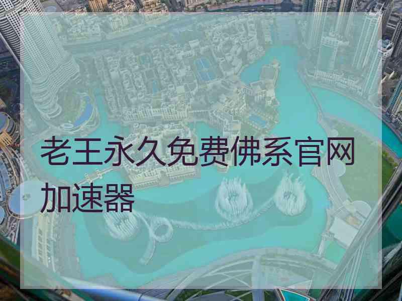 老王永久免费佛系官网加速器