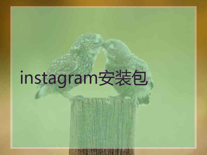 instagram安装包