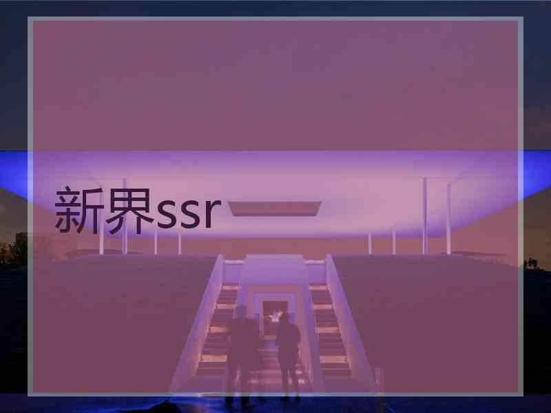 新界ssr