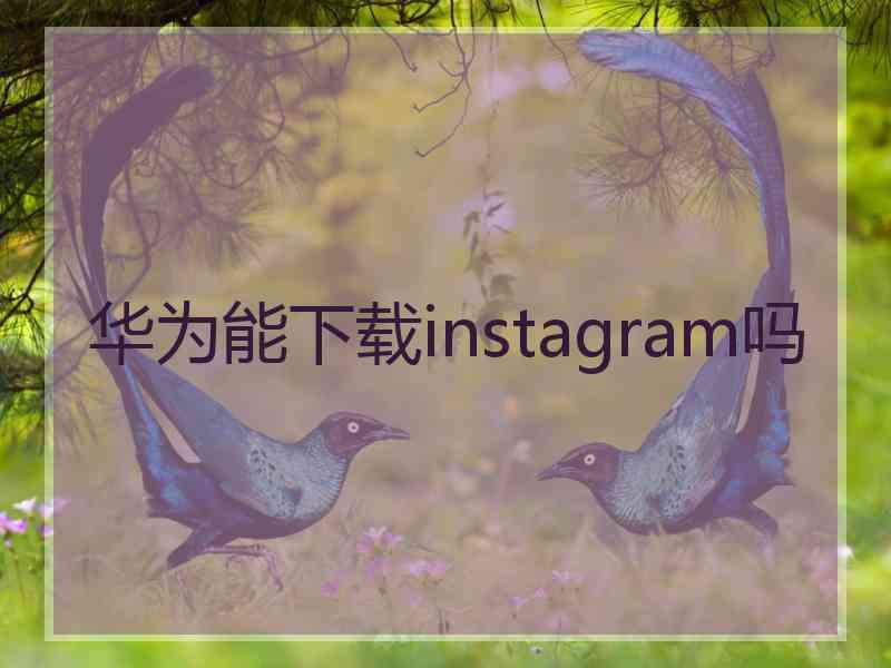 华为能下载instagram吗