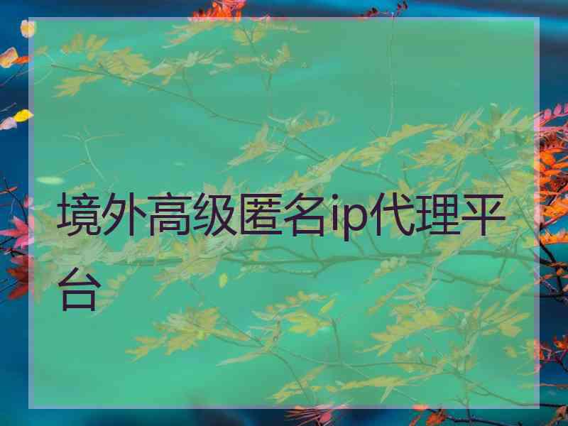 境外高级匿名ip代理平台