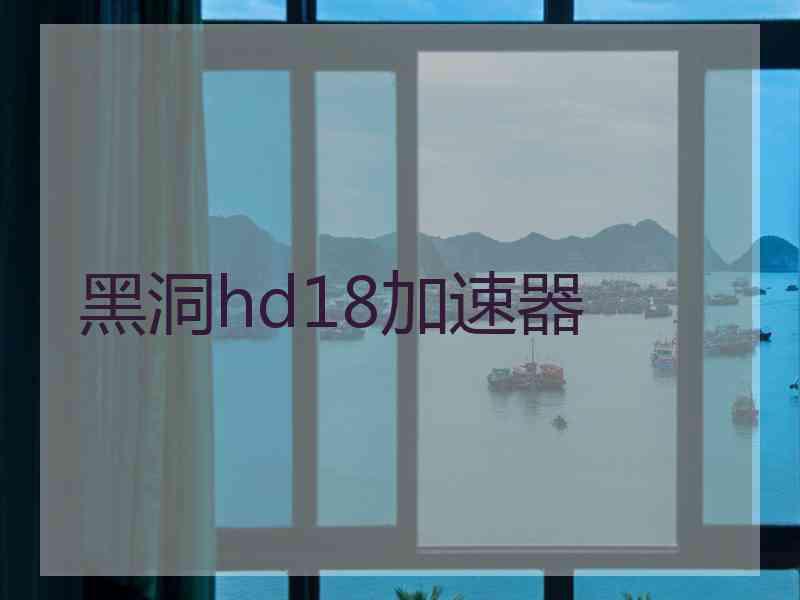 黑洞hd18加速器