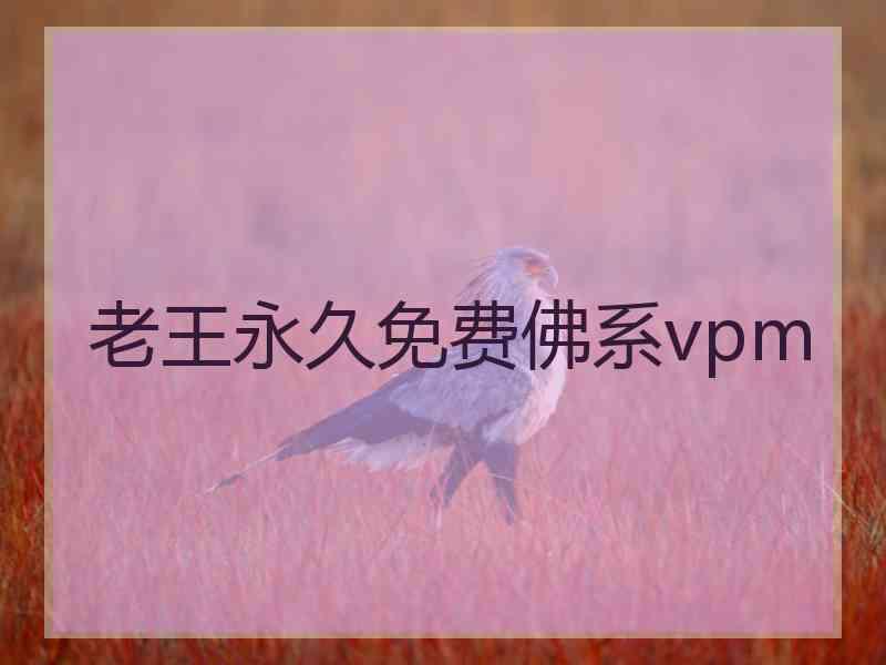 老王永久免费佛系vpm